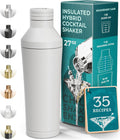 Insulated Cocktail Shaker Set - Double Wall Stainless Steel Martini