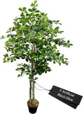 Cypress & Alabaster 5ft Italian Black Olive Leaf Artificial Tree