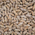 Barcelona Nut Inshell Peanuts Salted & Dry Roasted - 10 Pounds