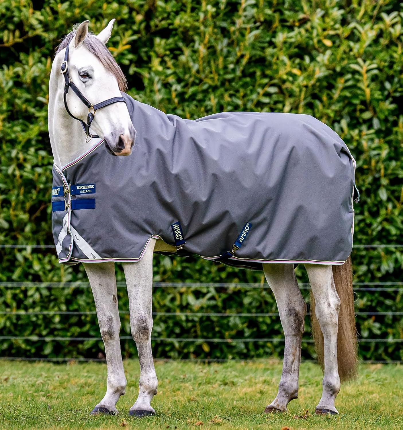 Horseware Amigo Bravo 12 - 100g Light: Ultimate Protection