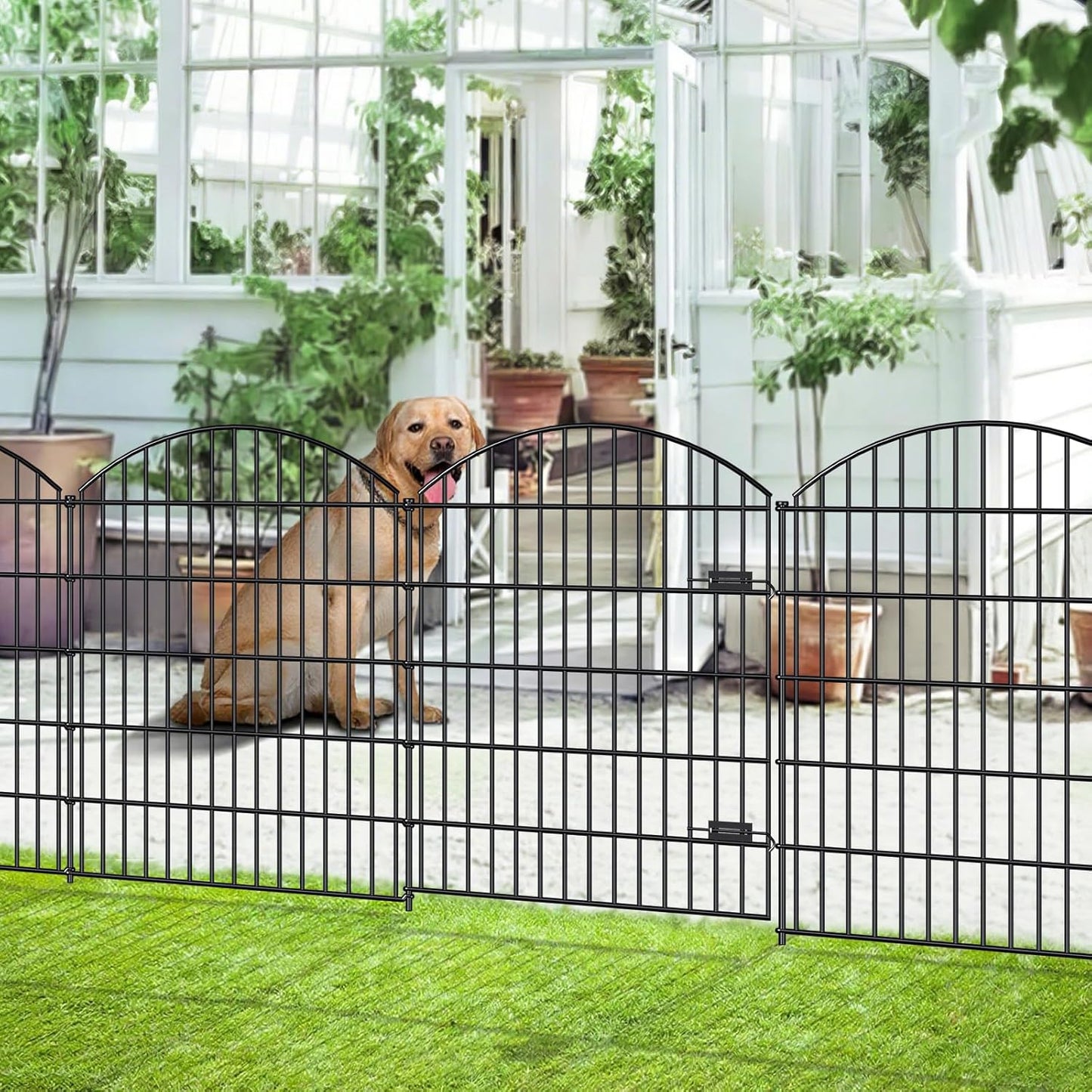 Metal Garden Gate and Fences Outdoor for Yard Privacy Needs