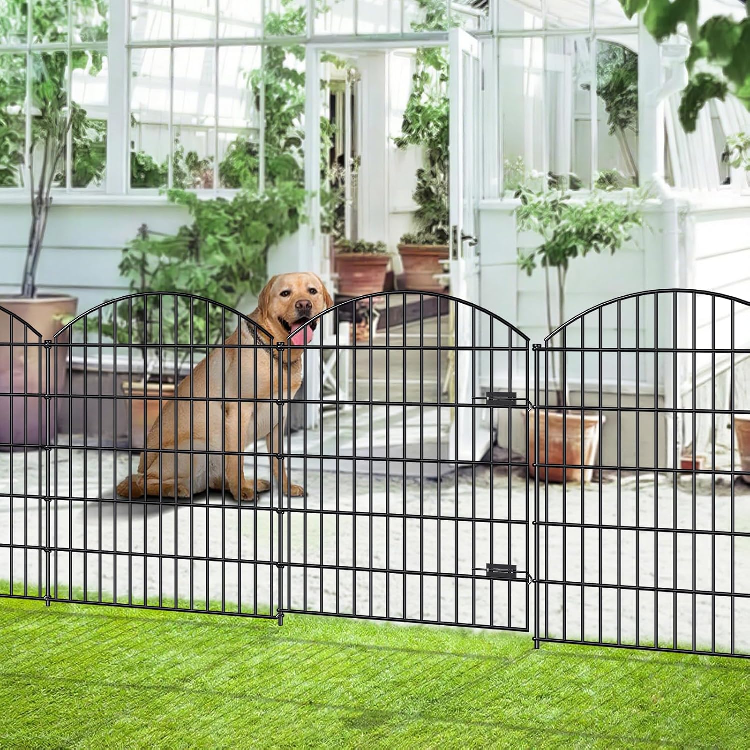 Metal Garden Gate and Fences Outdoor for Yard Privacy Needs