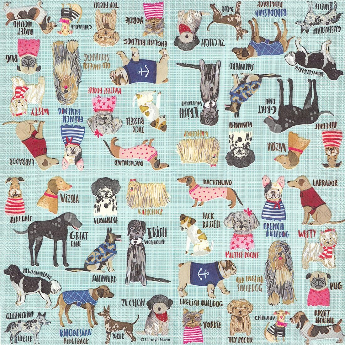 Boston International Hot Dog Breeds Cocktail Napkins