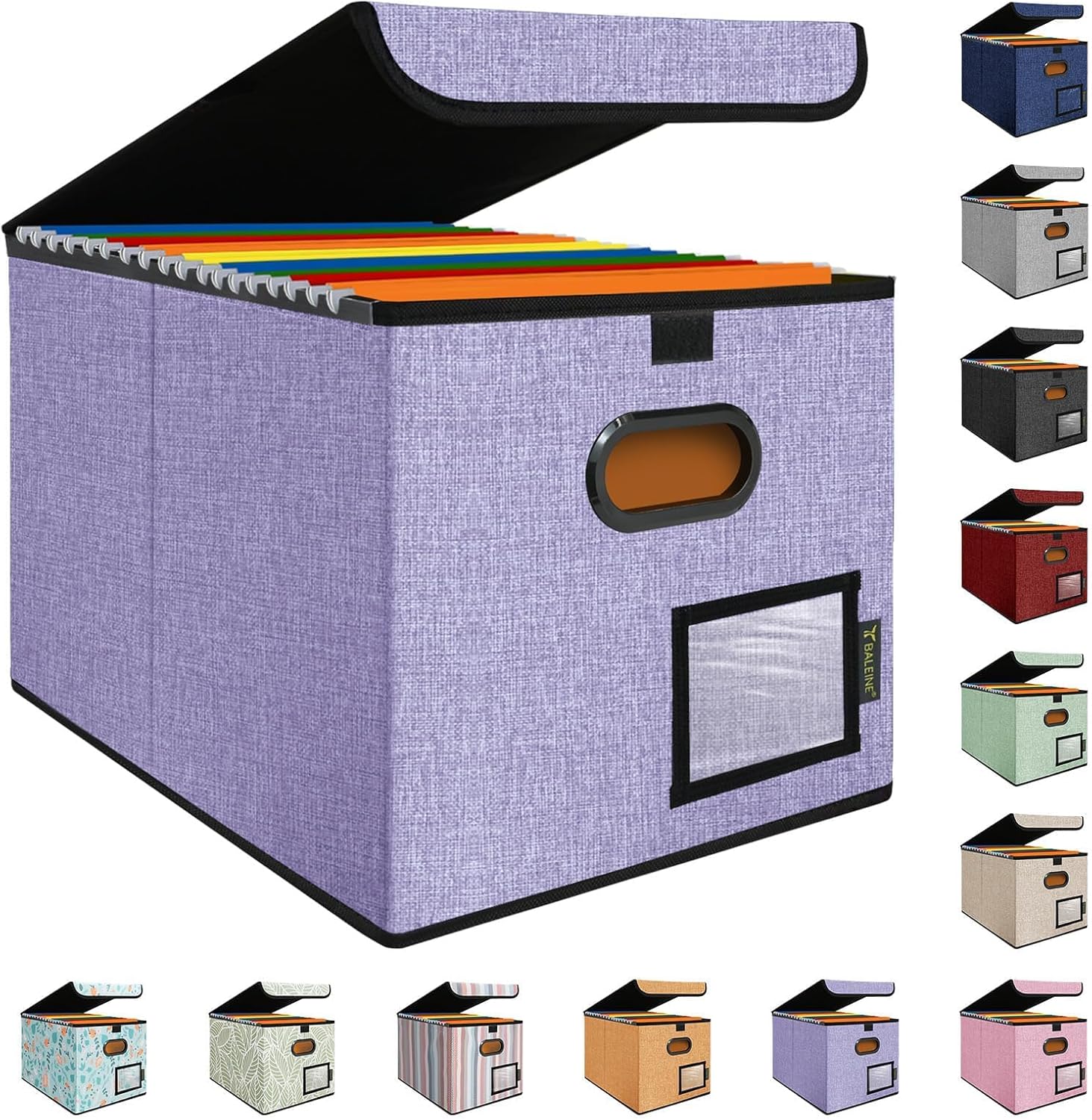 Organize Smarter with BALEINE File Box!
