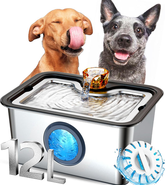 Dog Water Fountain for Large Dogs - 3 Gallon Automatic Dispenser