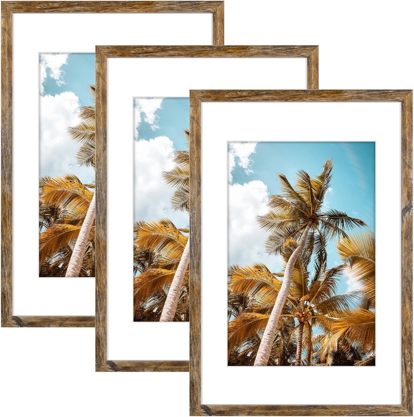 Frametory 16x24 Picture Frame With Mat for 12x18 Photos - 3 Pack