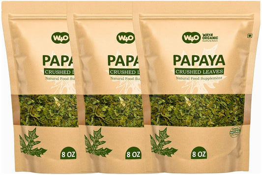Papaya Leaf Tea for Digestion and Immune Boosting Benefits