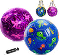 Toddler Soccer Ball Size 2/3 2-Pack - Pump and Mesh Bags