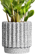 Ceramic Pots for Plants - 7.6 in Fluted Ceramic Planter with Drainage