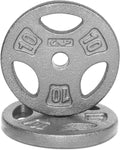 Standard 1-Inch Grip Weight Plates 10 lb Pair - Gray Enamel