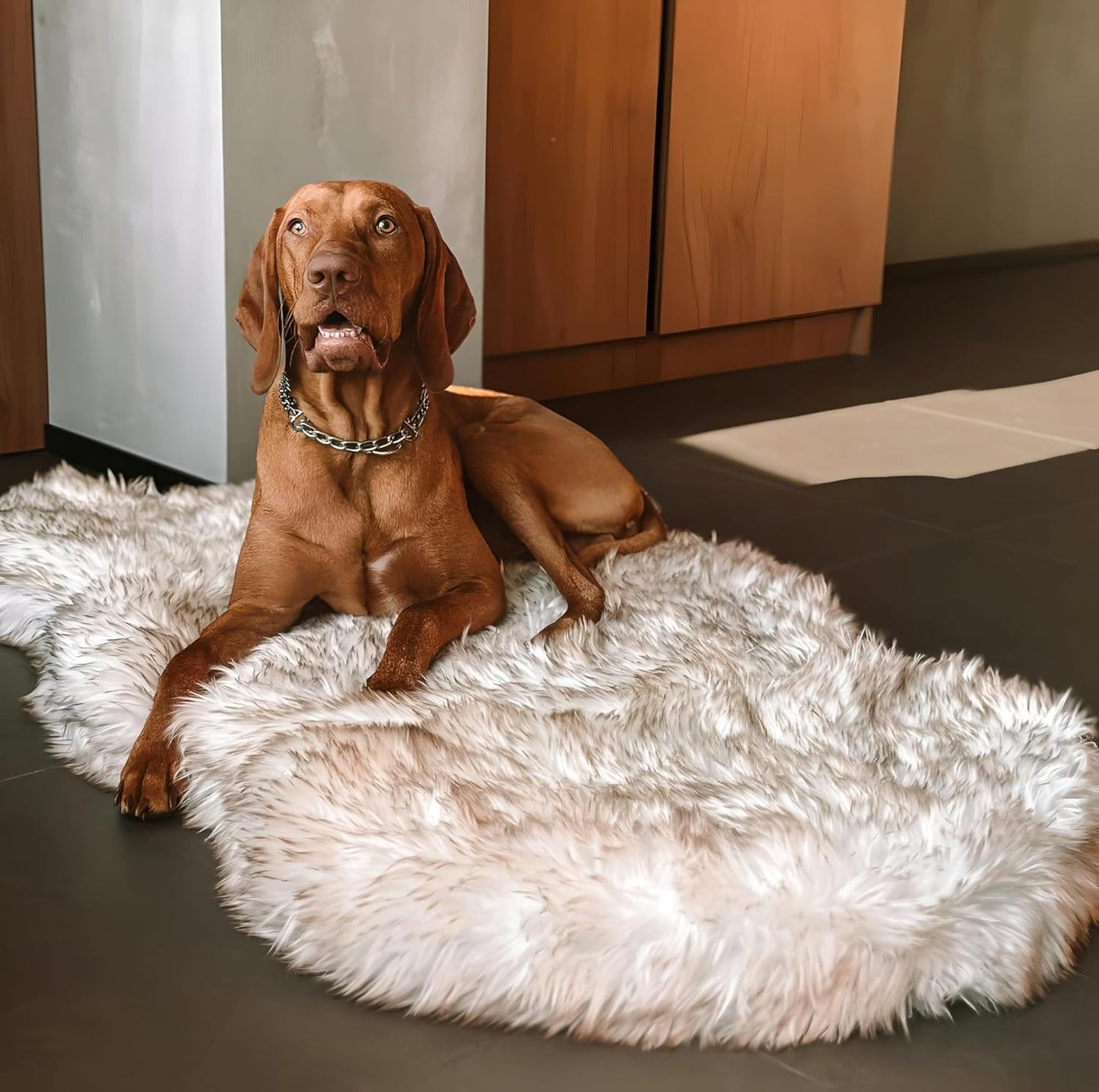 Luxury Faux Fur Orthopedic Dog Bed for All Pet Sizes