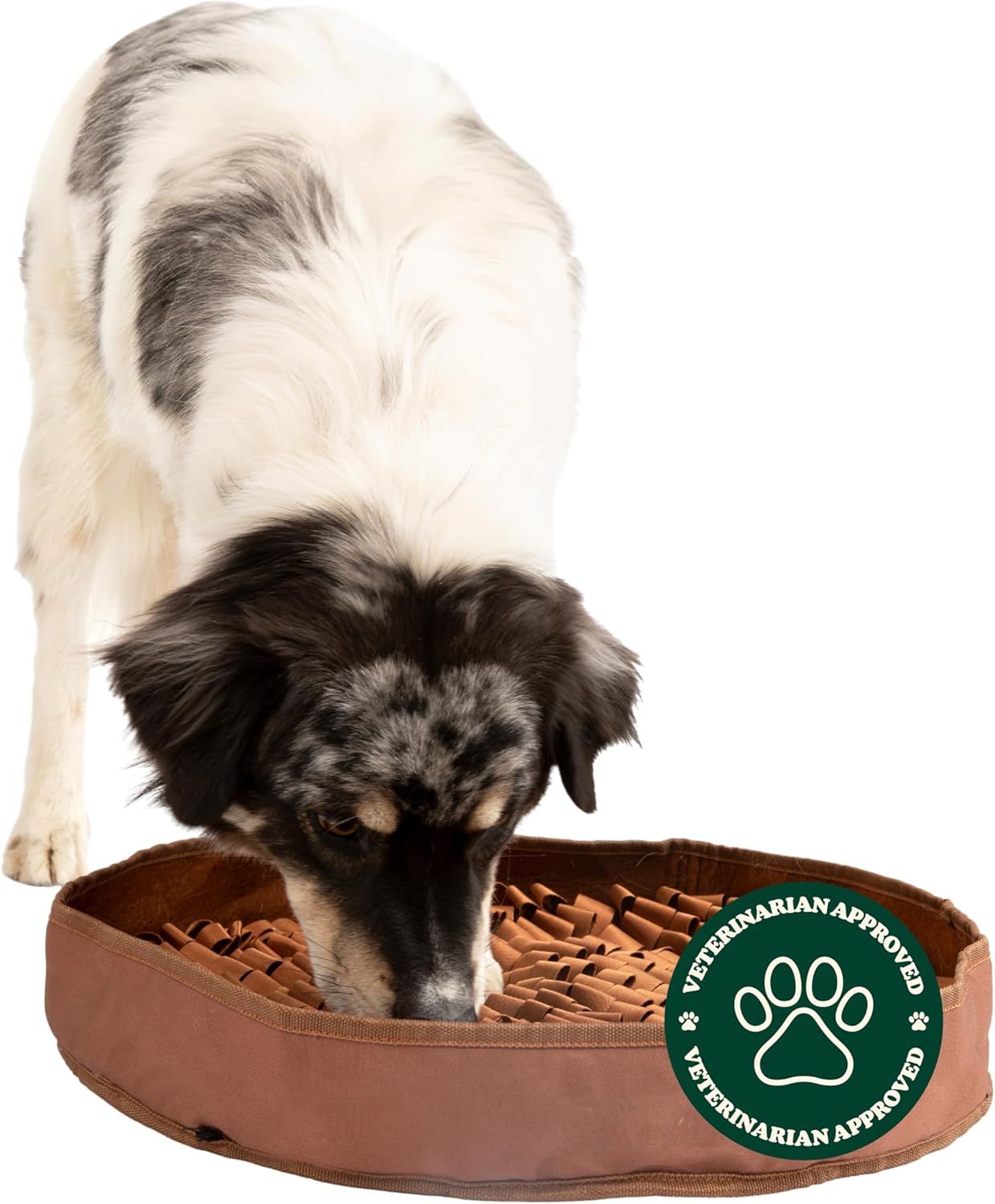 Reggie Stimulating Feeder Mat for Dogs - Slow Feeding Solution