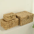 Wicker Storage Basket with Lid Set of 3 - Handwoven Seagrass