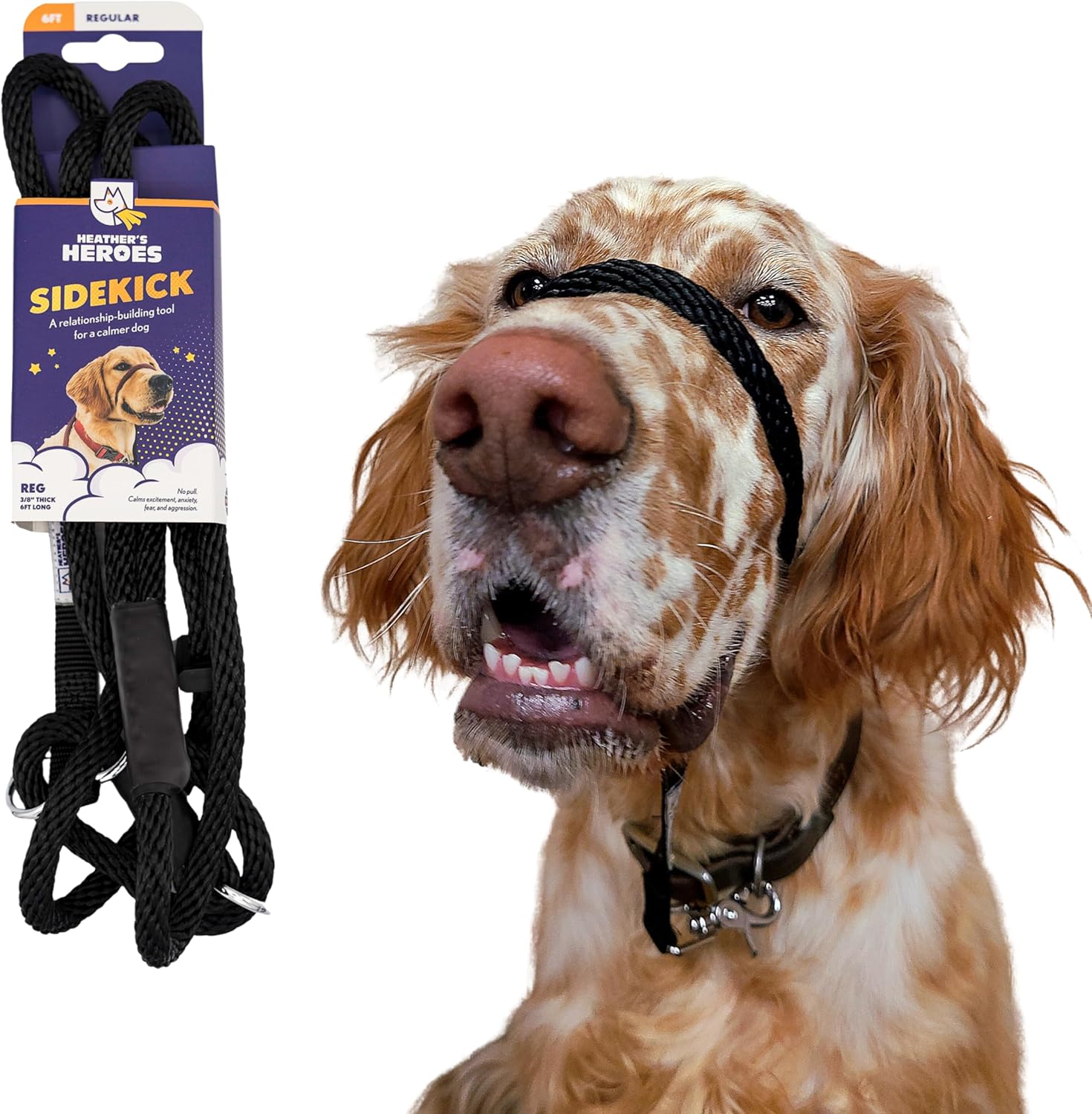 The Sidekick Dog Headcollar and Leash for Calm Companions
