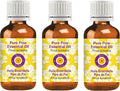 Pure Pine Essential Oil (Pinus sylvestris) 100ml x 3 - Steam Distilled