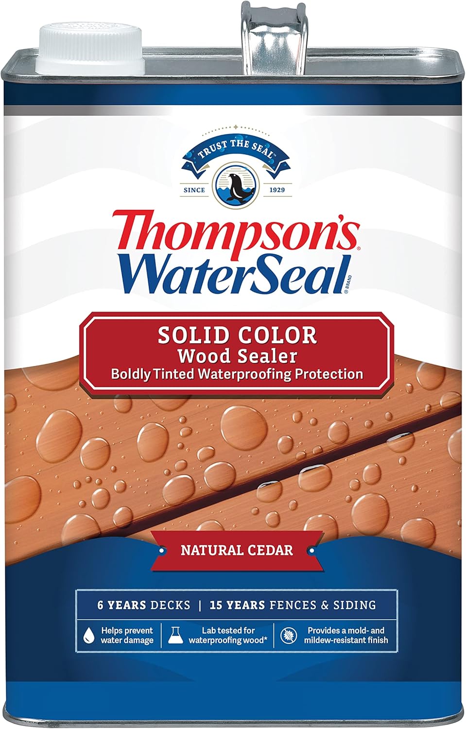 Thompsons WaterSeal Solid Color Waterproofing Wood Stain Review
