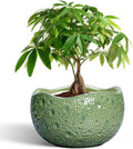 Ceramic Pots for Plants 10 in Round Planter - Modern Moon Design