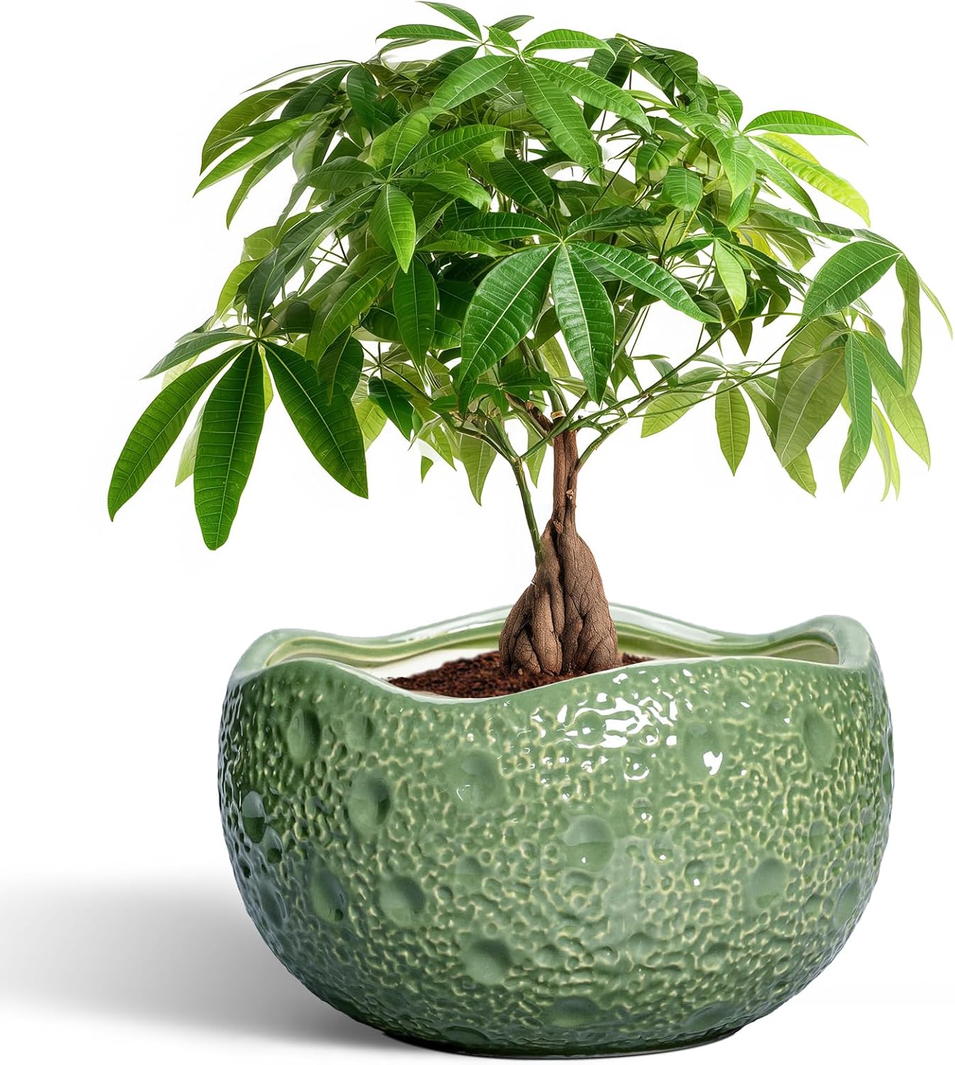 Ceramic Pots for Plants - 10 Inch Modern Planter for Decor