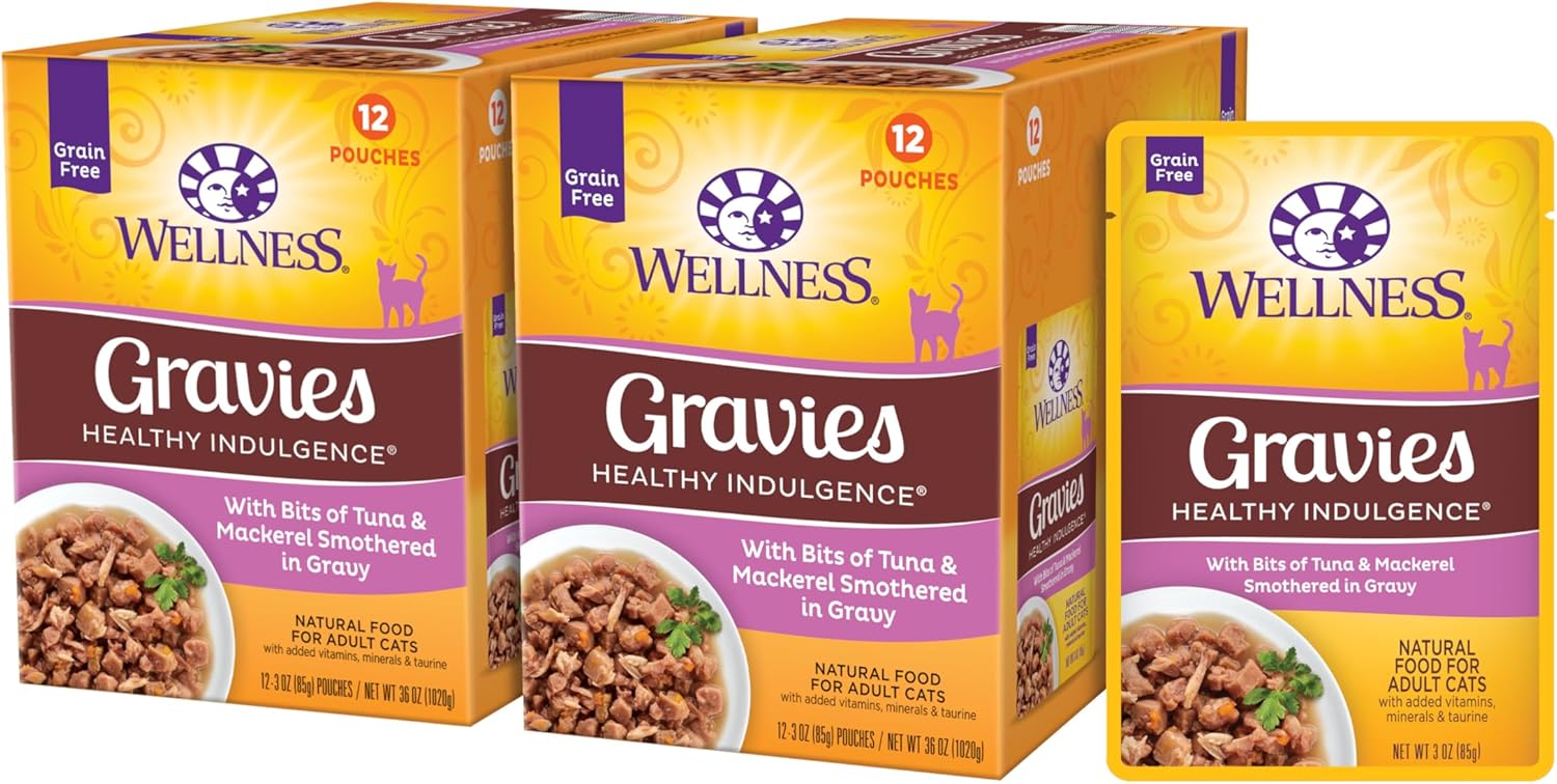 Wellness Healthy Indulgence Gravy Wet Cat Food for Adult Cats