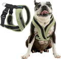 Comfort X One Small Dog Harness - Portland Green Small