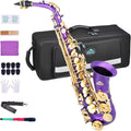 EASTROCK Purple/Golden Alto Saxophone E Flat Full Kit - Student