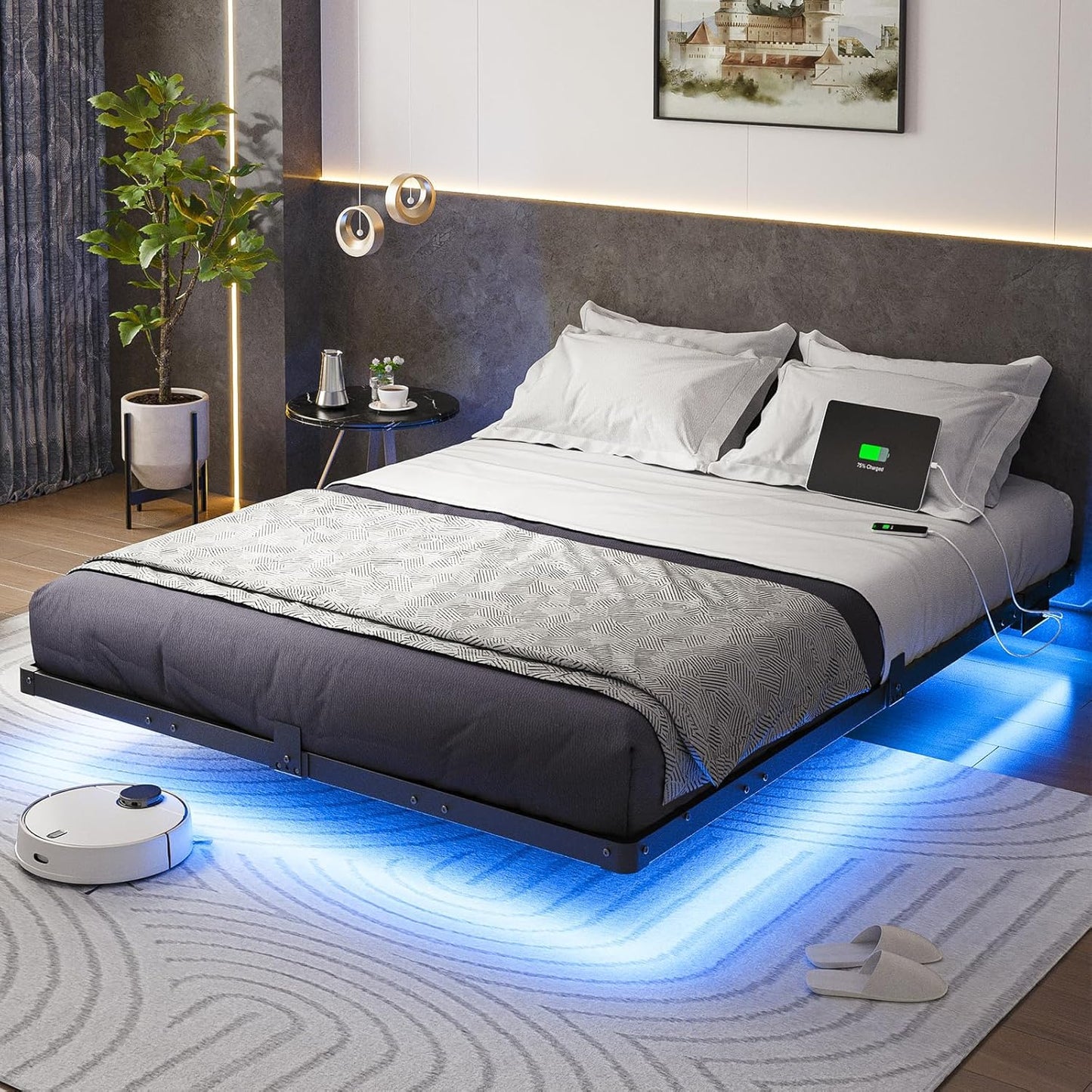Queen Size Floating Bed Frame with USB Charging and LED Lights