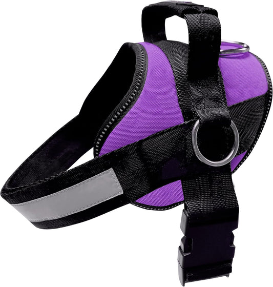 Joyride Basic Essential Dog Harness for No-Pull Training