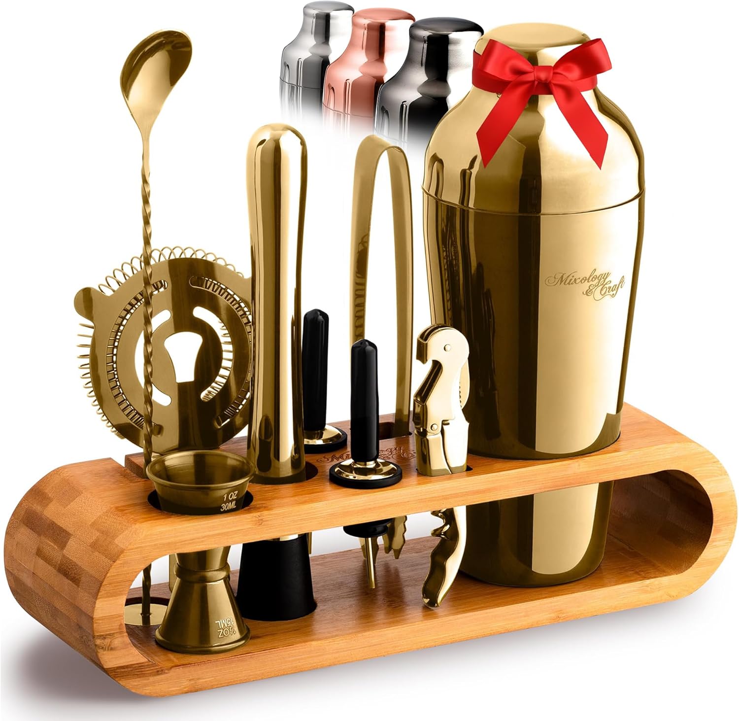 Mixology & Craft Cocktail Shaker Set: 10-Piece Bartender Kit
