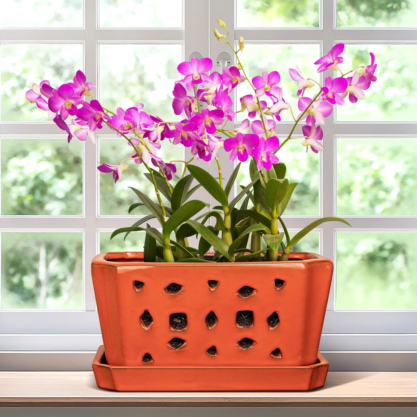Ceramic Orchid Pot with Holes 9.5 Inch for Healthy Orchids