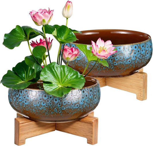 Baderke Lotus Bowl Planter Set for Aquatic and Indoor Plants