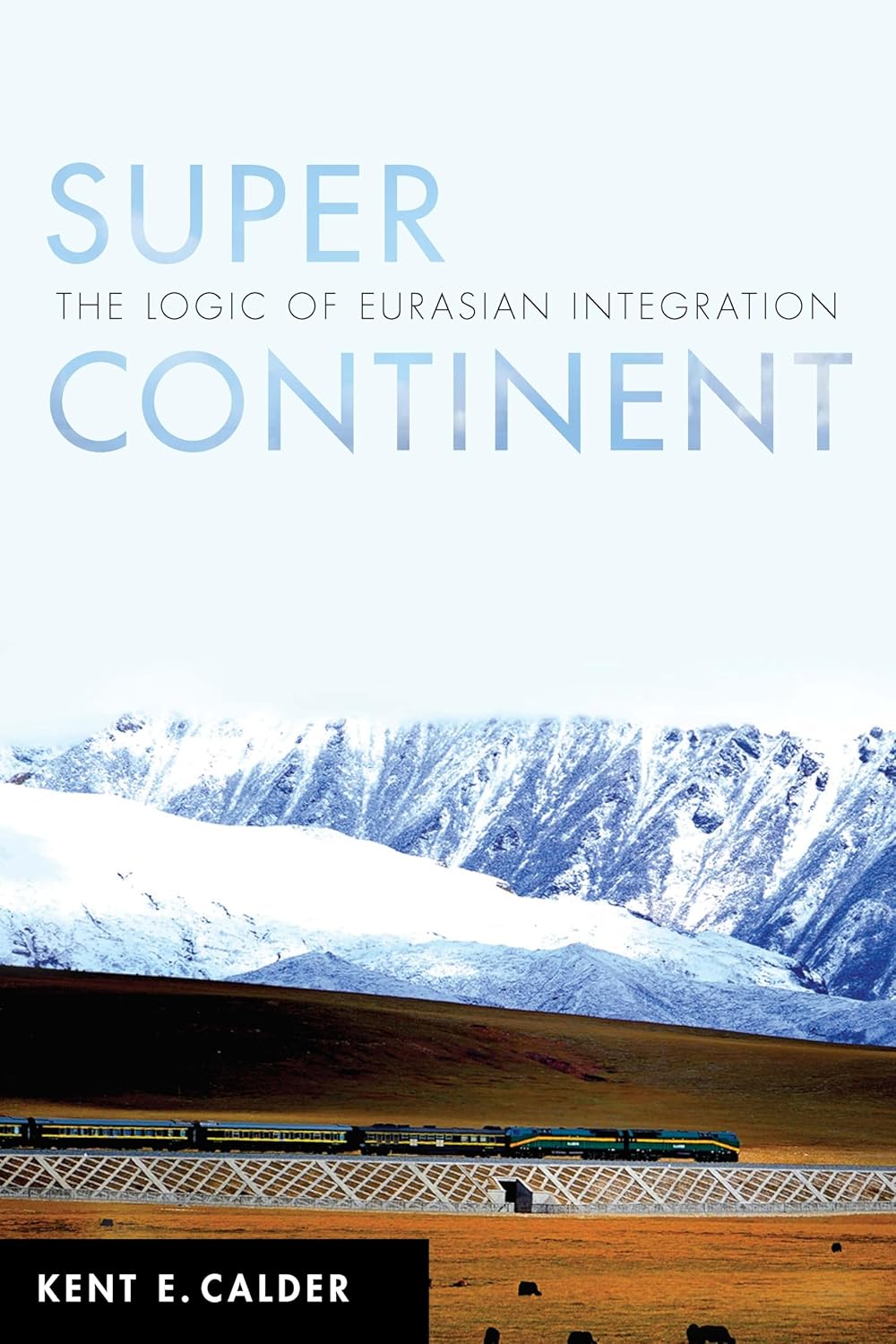 Super Continent: The Logic of Eurasian Integration Review