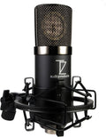 TZ Stellar X2 Vintage Large-Diaphragm Cardioid Condenser Microphone