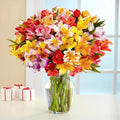 24 Multicolored Alstroemeria Bouquet - Long Lasting Fresh Cut Flowers