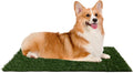 Pee Pads for Dogs Set of Three 23x18.5 in Replacement Turf Mats