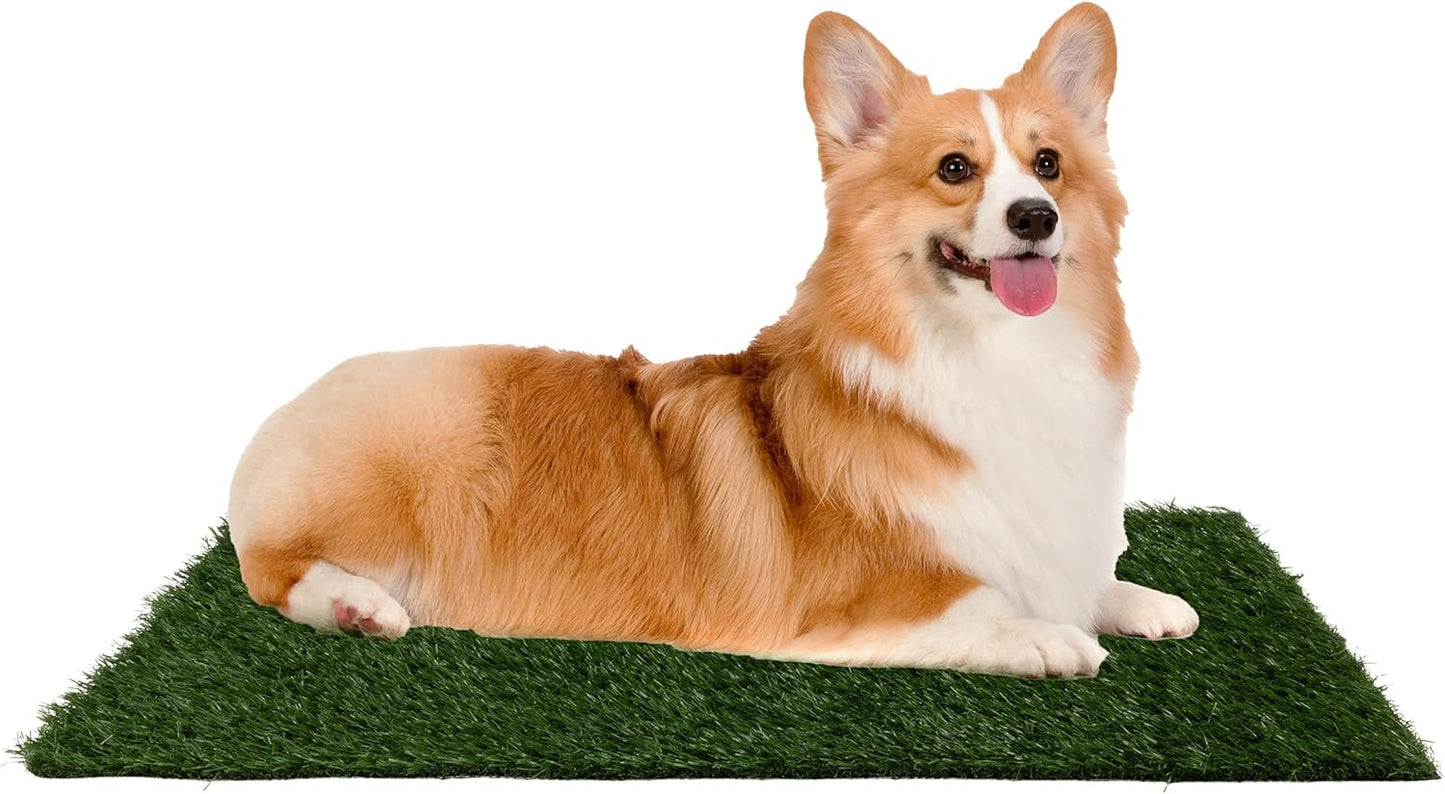 Pee Pads for Dogs - Set of Three 23x18.5-Inch Replacement Mats