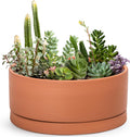 12 in Succulent Terracotta Shallow Pot with Drainage and Saucer