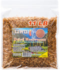 Dried Mealworms - 100% Natural High Protein Treats for Pets