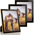 8x10 Picture Frame Black Enamel with Gold Edge - Contemporary Display