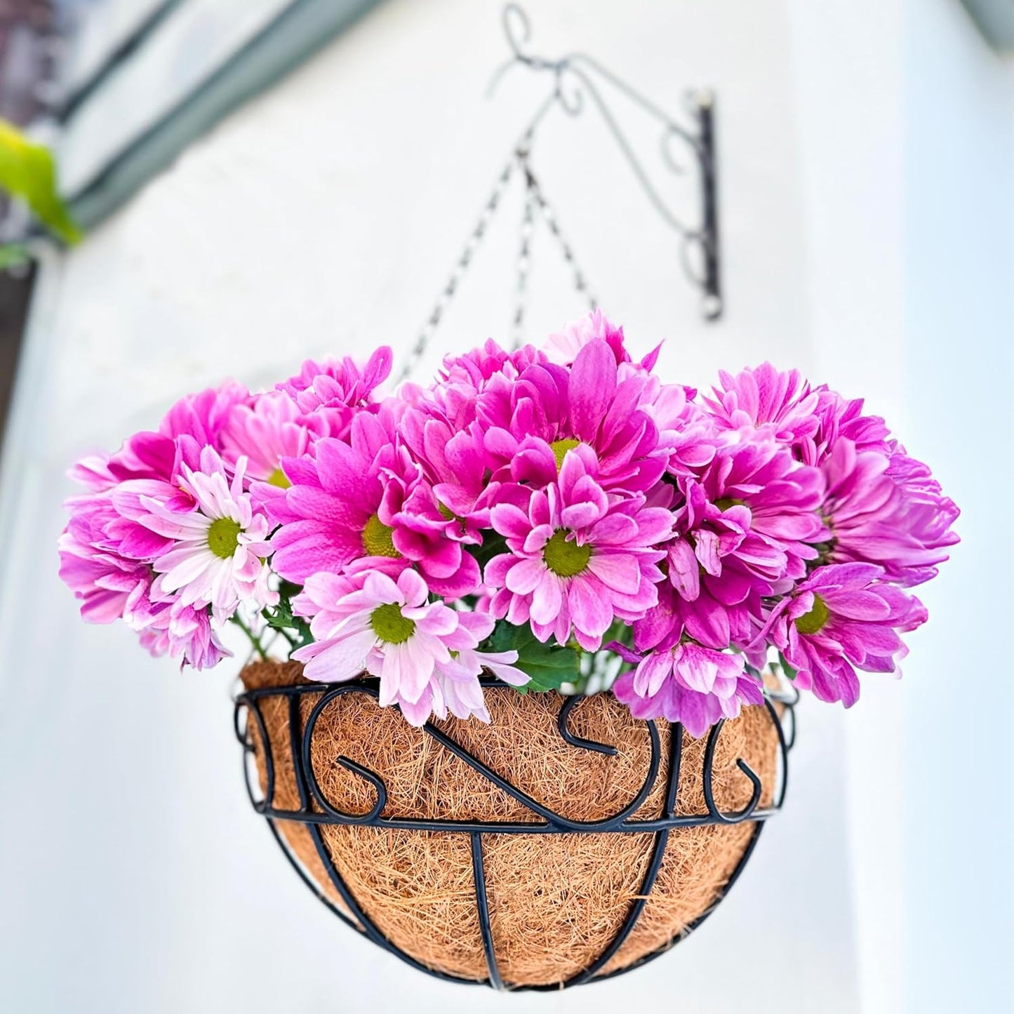 LaLaGreen 16 Inch Hanging Planter Set for Outdoor Plants