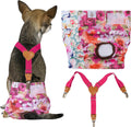 CuteBone Dog Diapers Female 3 Pack with Suspender - Reusable