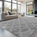 Sour Lemon Area Rugs 8x10 Soft Plush Shaggy Carpet for Home