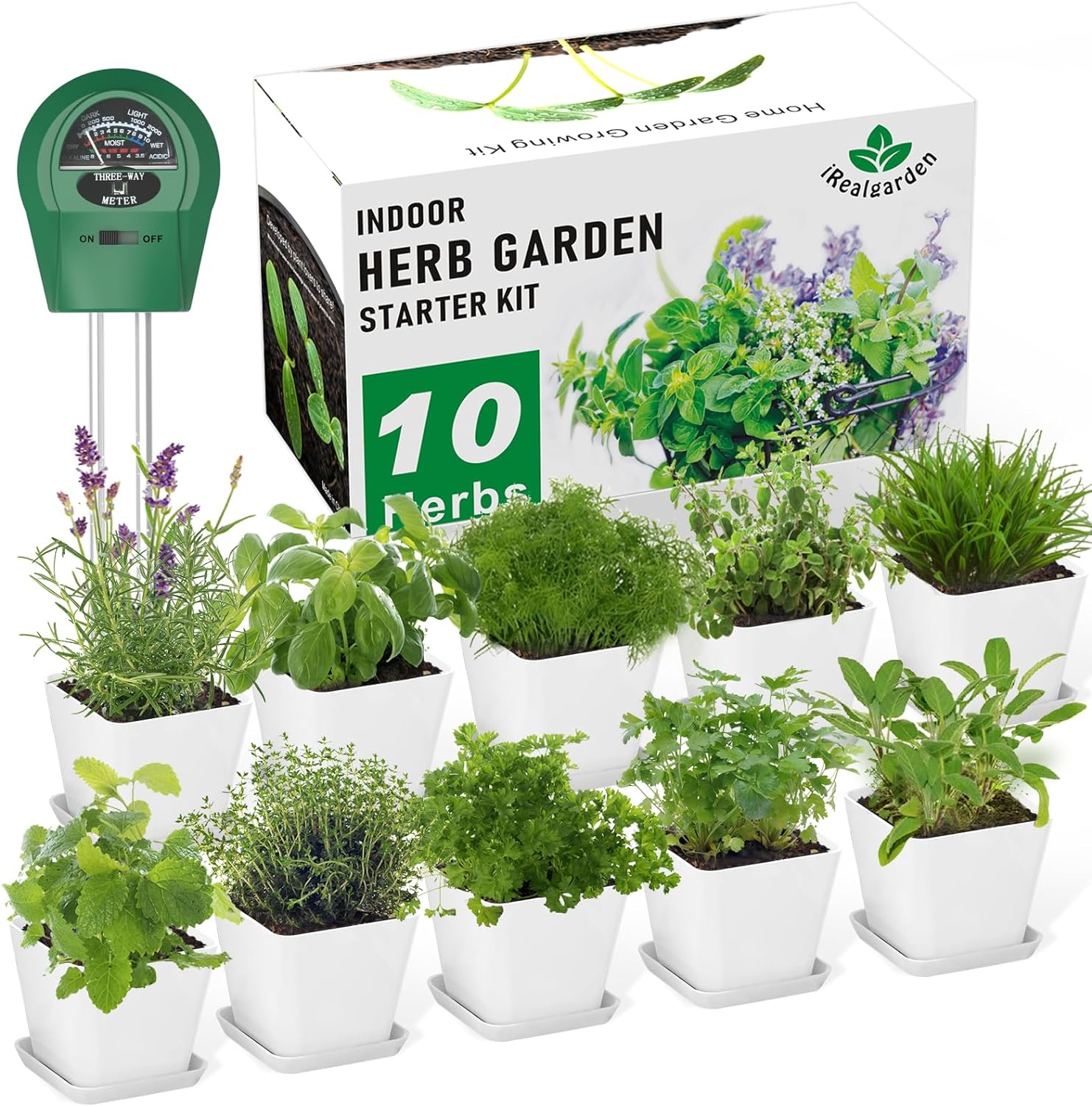 Indoor Herb Garden Starter Kit for Kitchen with 10 Herb Seeds