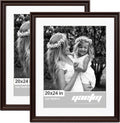 20x24 Picture Frame Matted to 16x20 Set of 2 - Dark Brown Poster