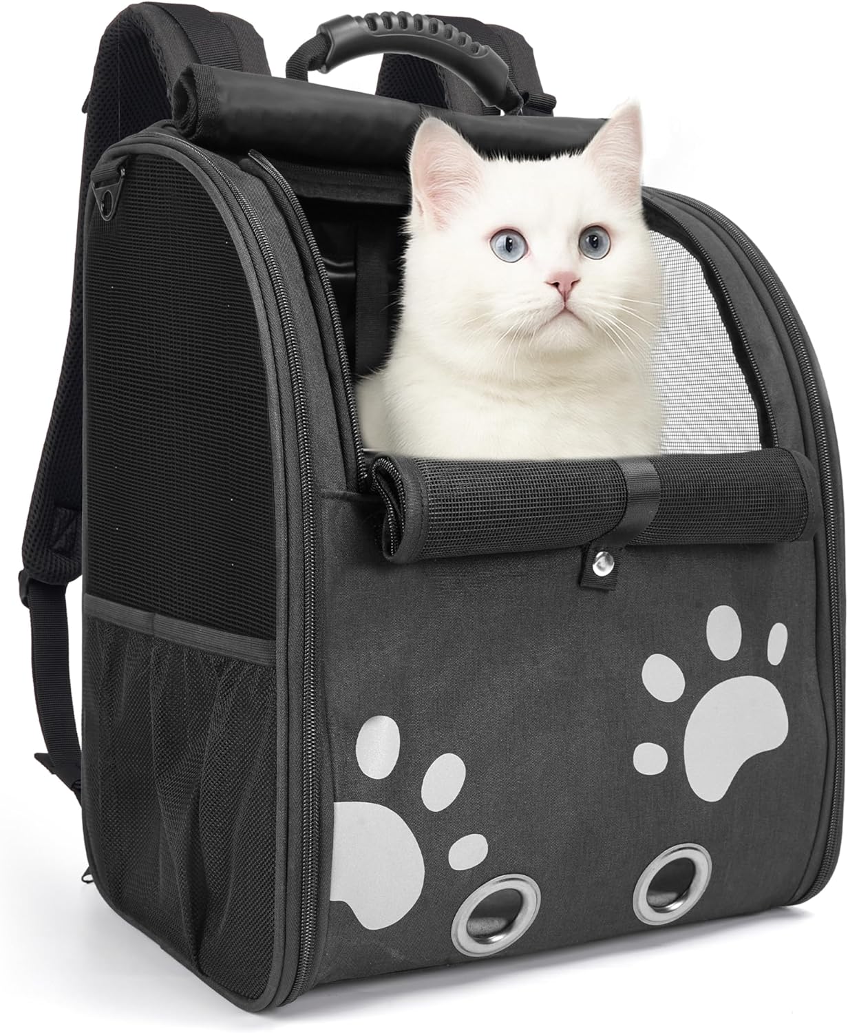Comfortable Cat Backpack Carrier for Outdoor Adventures