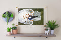 Next Day USA Made Floating Acrylic Frame - Modern Home & Office Decor