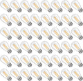 S14 Replacement LED Light Bulbs 2200K Warm White - 48 Pack