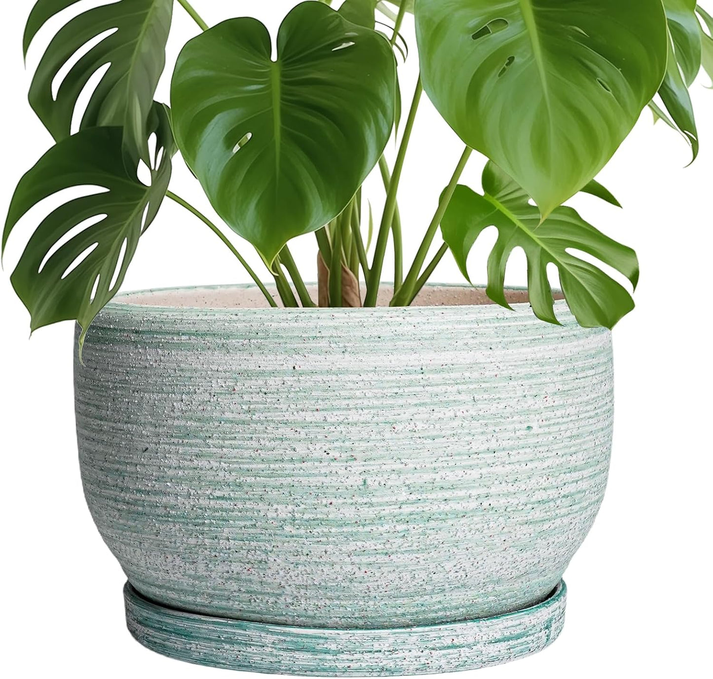 SQOWL Ceramic Pots for Plants - Modern 10 Inch Planter