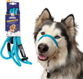 Heather's Heroes Sidekick Dog Headcollar with Leash - Gentle No-Pull