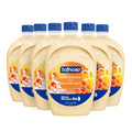 Softsoap Hand Soap Refill Milk and Honey - Moisturizing Bulk Case