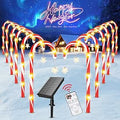 Solar Candy Cane Christmas Lights 12 Pack - Bright Outdoor Pathway